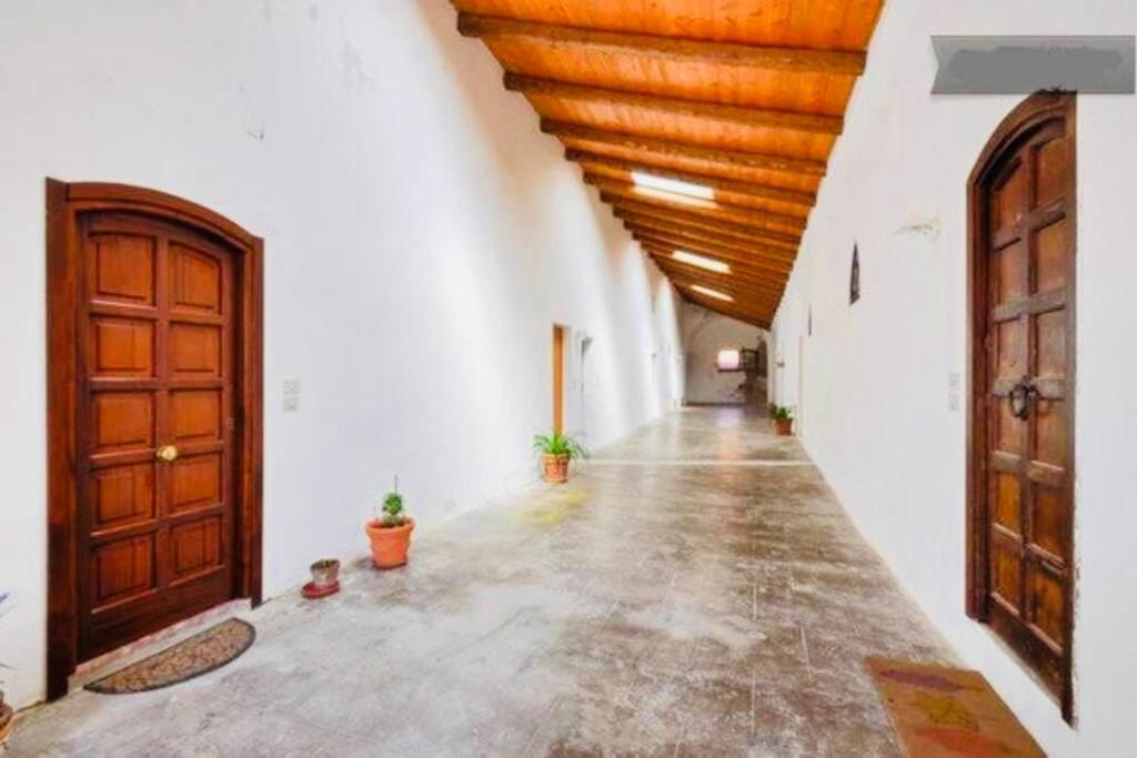 Wonderful Apartment In Old Alghero Esterno foto